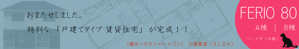 おまたせしました特別な　「戸建てタイプ 賃貸住宅」　が完成